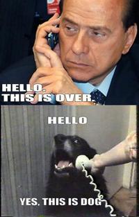 Yes, This is Dog