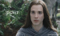 Figwit