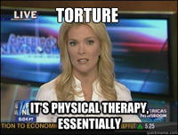 Megyn Kelly Essentially