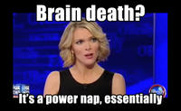 Megyn Kelly Essentially