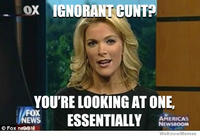 Megyn Kelly Essentially
