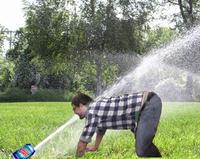 WHARRGARBL / Sprinkler Dog