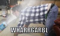 WHARRGARBL / Sprinkler Dog
