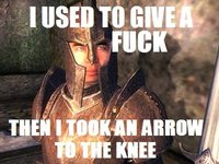 I Took an Arrow in the Knee