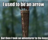 I Took an Arrow in the Knee