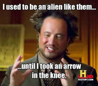 I Took an Arrow in the Knee