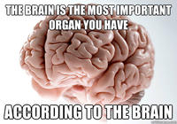 Scumbag Brain