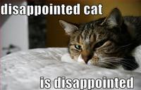 LOLcats