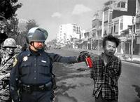 Casually Pepper Spray Everything Cop