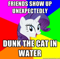 Advice Dog