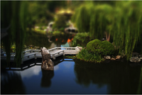 Tilt Shift Effect
