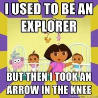 I Took an Arrow in the Knee