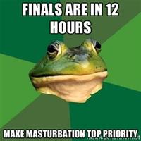 Foul Bachelor Frog