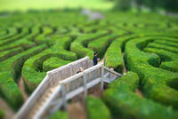 Tilt Shift Effect