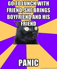 Anxiety Cat