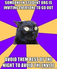 Anxiety Cat