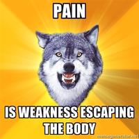 Courage Wolf