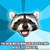 Lame Pun Coon