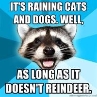 Lame Pun Coon