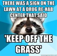 Lame Pun Coon