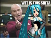 WTF Is This Shit!?