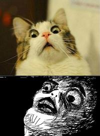 Oh Crap / OMG Rage Face
