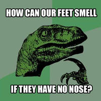 Philosoraptor