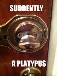Things With Faces (Pareidolia)