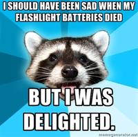 Lame Pun Coon