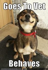 Good Dog Greg