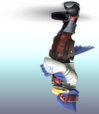 FalcoBrawl.jpg