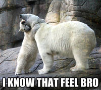 I Know That Feel Bro