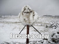 Forever Alone