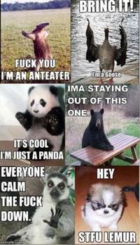 I'm an Anteater!!!