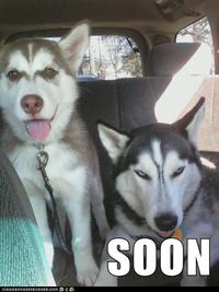 SOON