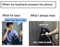 Yes, This is Dog