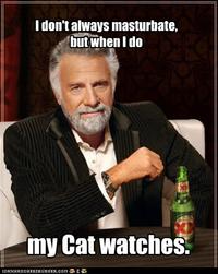 The Most Interesting Man in the World