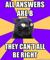 Anxiety Cat