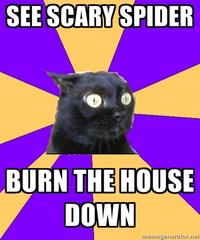 Anxiety Cat