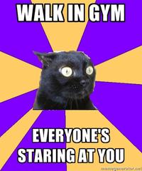 Anxiety Cat