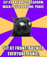 Anxiety Cat