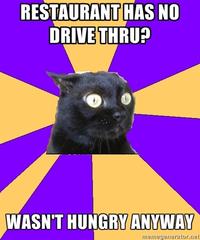 Anxiety Cat