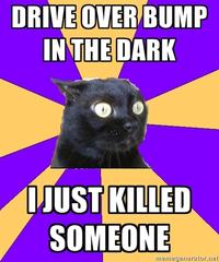 Anxiety Cat
