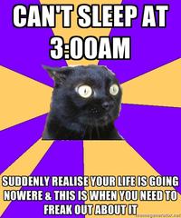 Anxiety Cat
