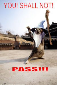 You Shall Not Pass!!!