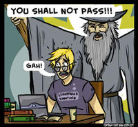 You Shall Not Pass!!!