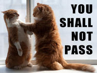 You Shall Not Pass!!!
