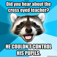 Lame Pun Coon