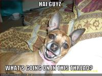 Hey Guys What's Going On This Thread?