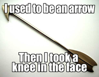 I Took an Arrow in the Knee